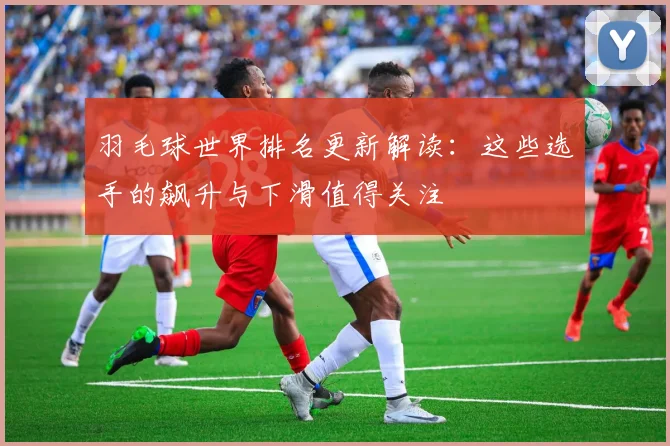 羽毛球世界排名更新解读：这些选手的飙升与下滑值得关注