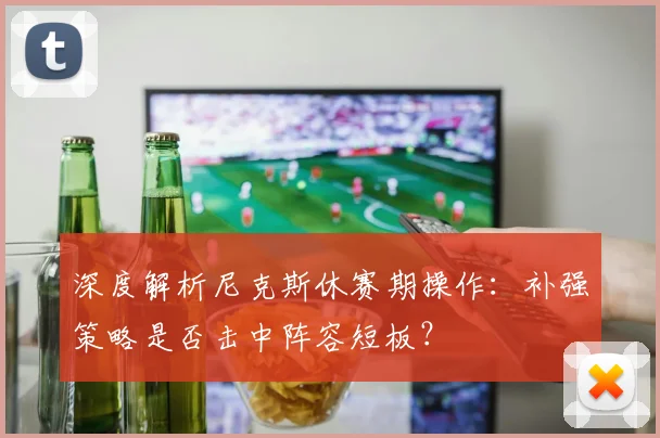 深度解析尼克斯休赛期操作:补强策略是否击中阵容短板?